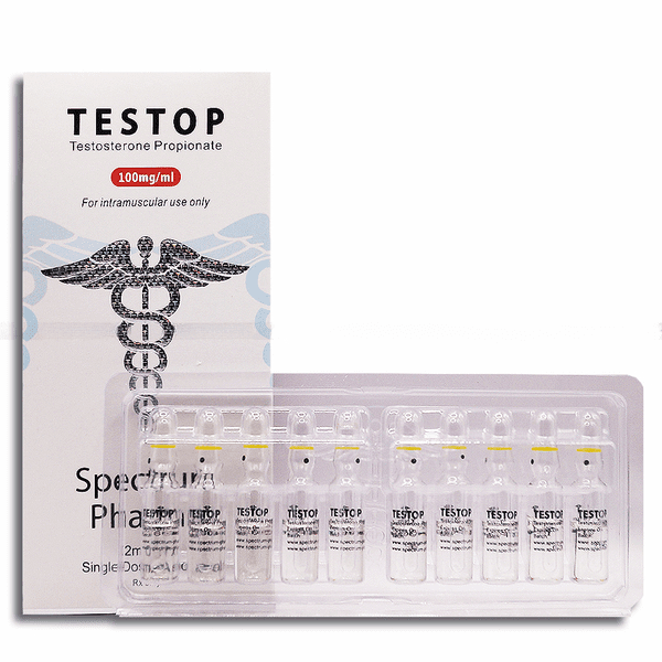 TESTO P amp 100 mg/1ml