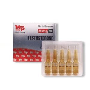 Testosterone Blend amp.  10амп 250мг/мл